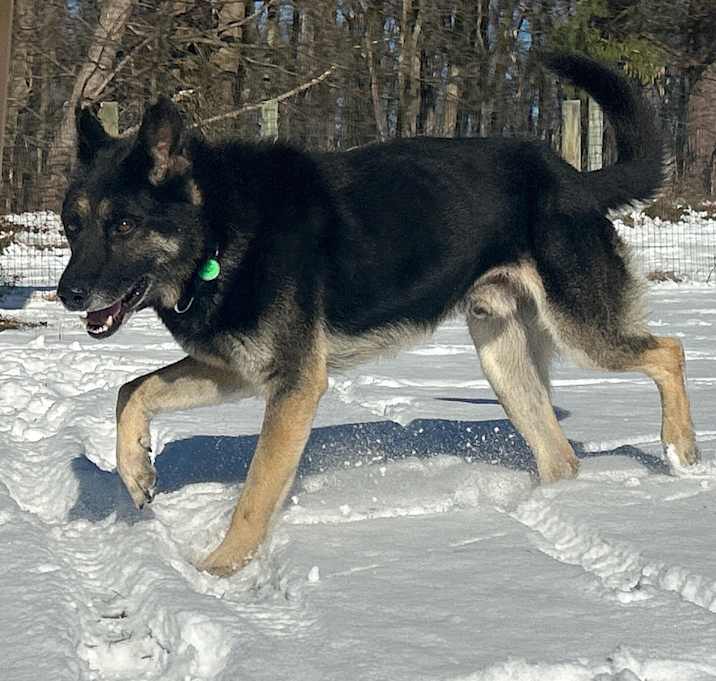 Photo of Eilan (25-457)