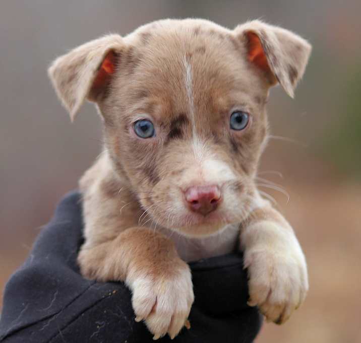 Photo of CT Jeb avail Dec 27