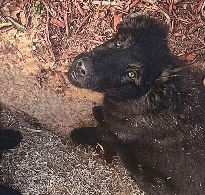 Photo of Bea C-34476