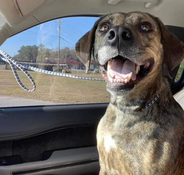 Photo of Sunnie Dixon