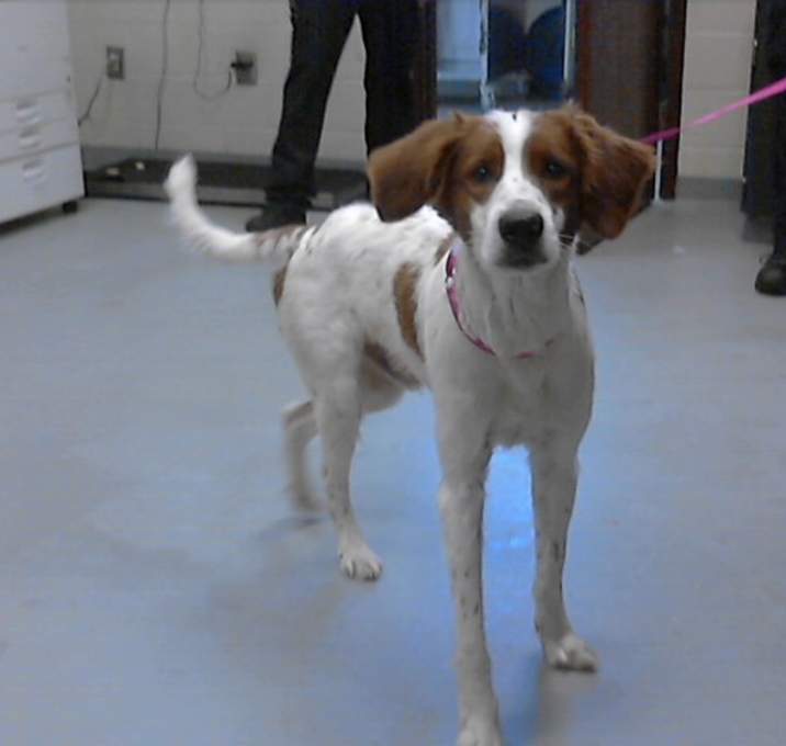 Photo of MACHIAVELLI