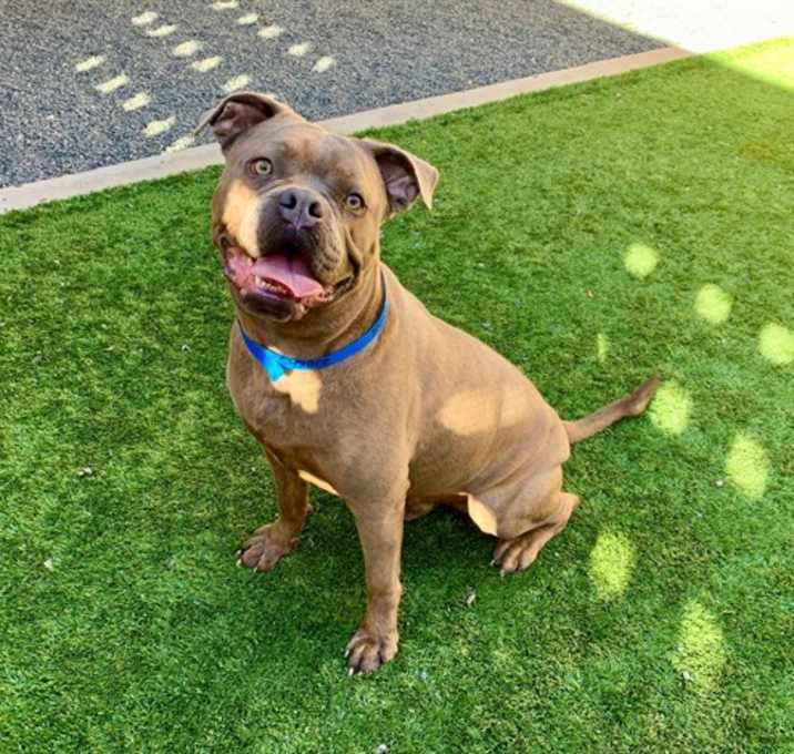 Photo of FRANKINCENSE