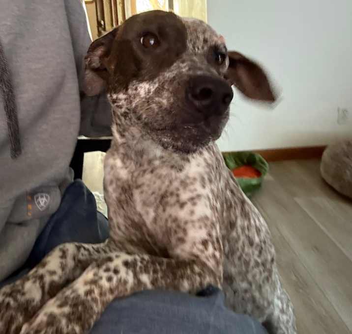 Photo of Sweet Caroline 