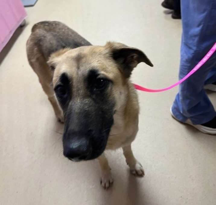 Photo of 23015- Aria