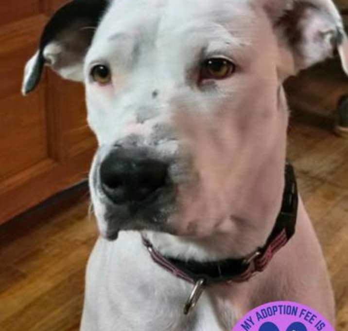 Photo of Molly Marigold