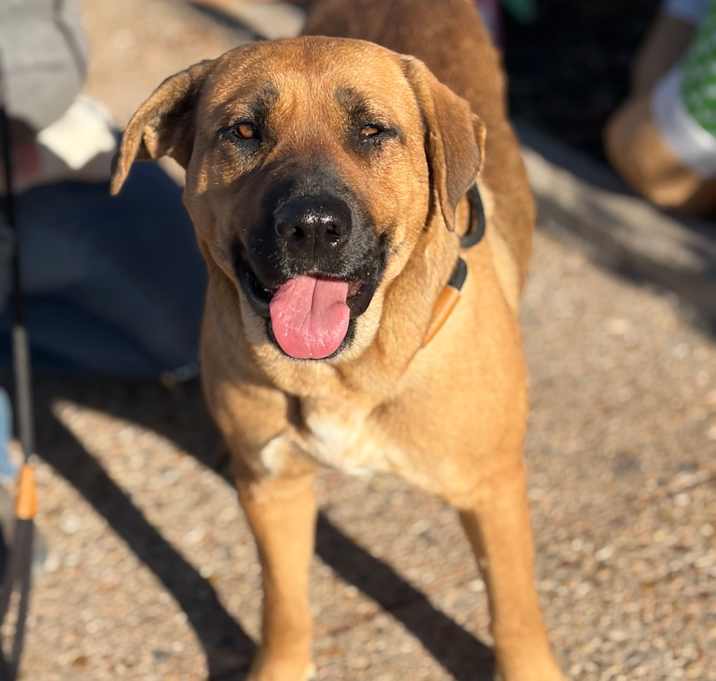 Photo of Missy 25-12-013