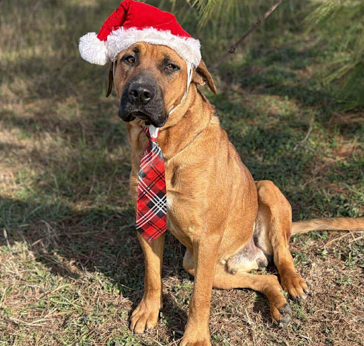 Photo of Jack 25-12-013