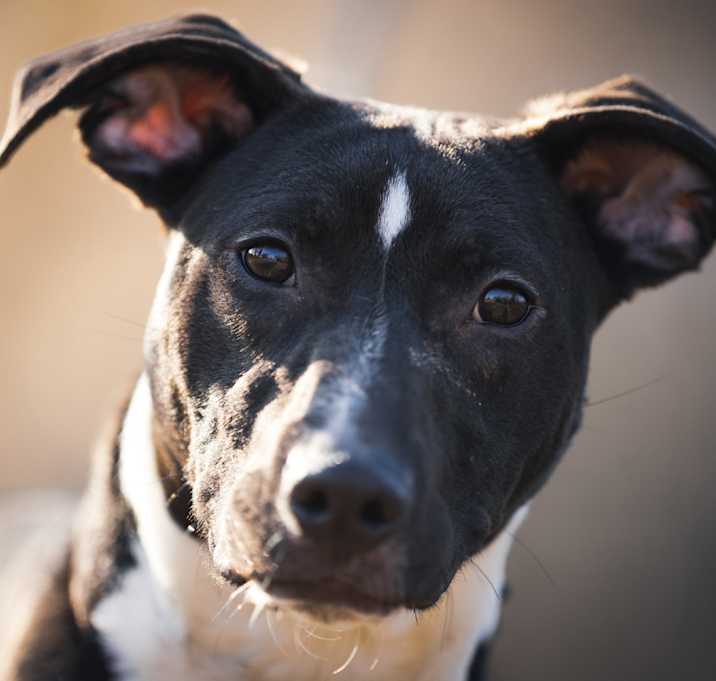 Photo of “Little Man”