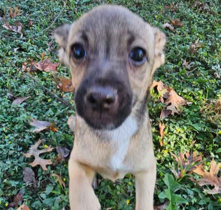 Photo of Larry in TX
