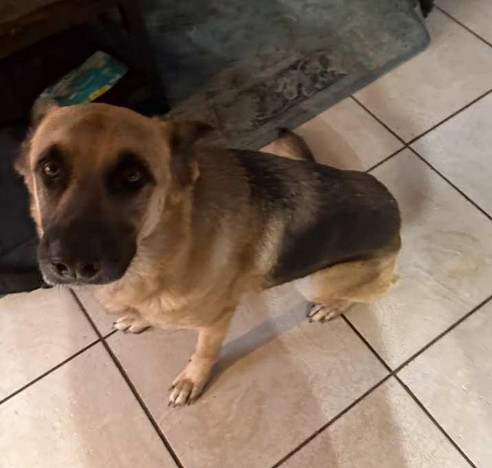 Photo of Madison (Maddie)