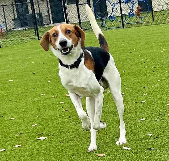 Photo of Sawyer 5766