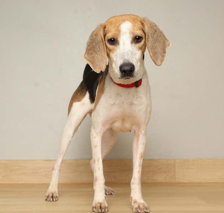 Photo of Faith D67194