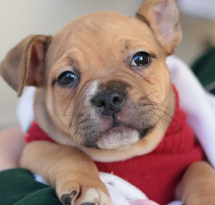 Photo of Earsy (Flakezz)