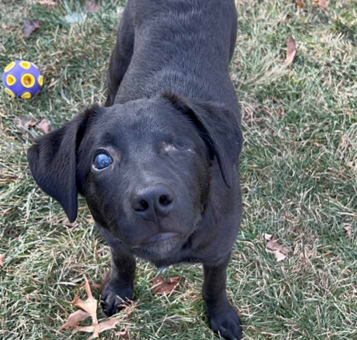 Photo of Mavis-Please Call (402) 441-4488 Ext.1 To Meet Me!