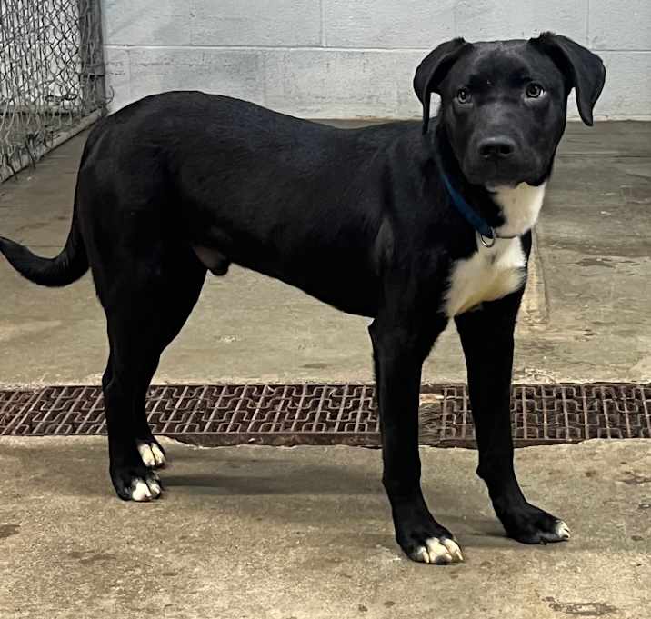 Photo of Oscar 110D25