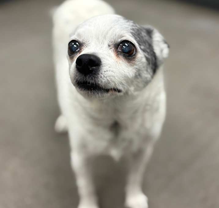 Photo of Lucy (real name)