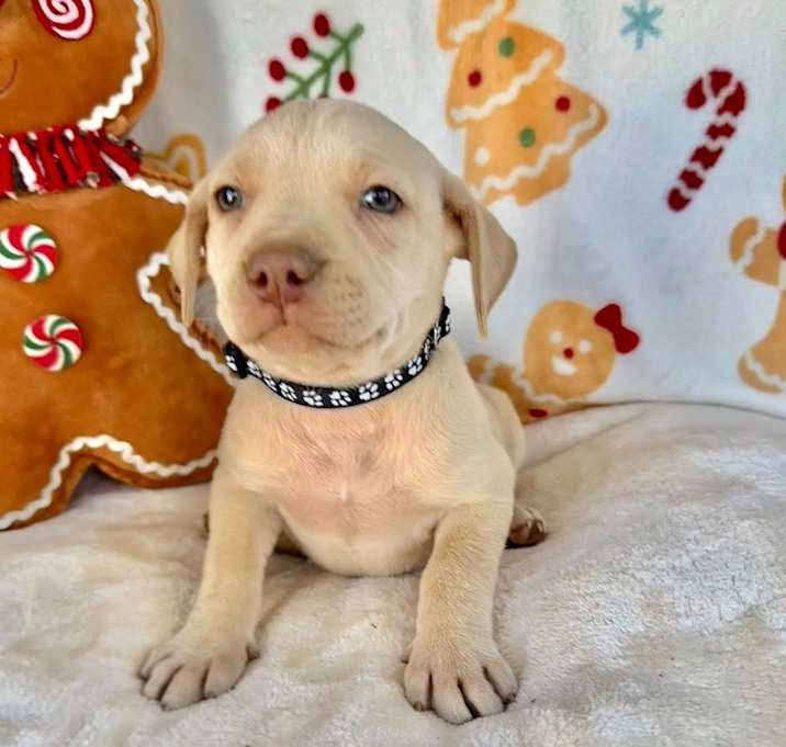 Photo of October Gentry