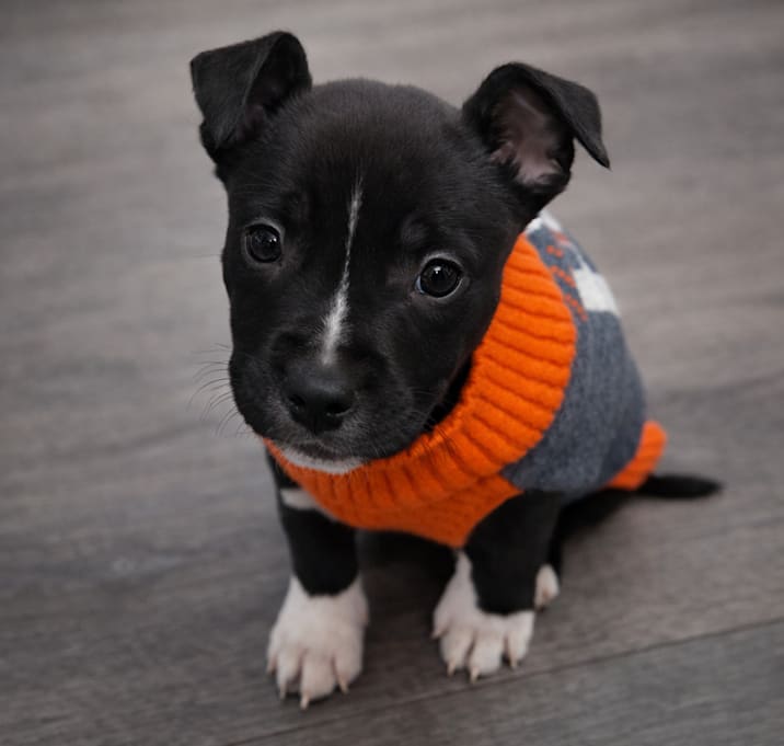 Photo of 851 (2025) Axl