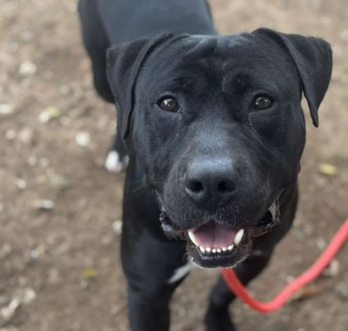 Photo of F25 FC 1594 Bruno