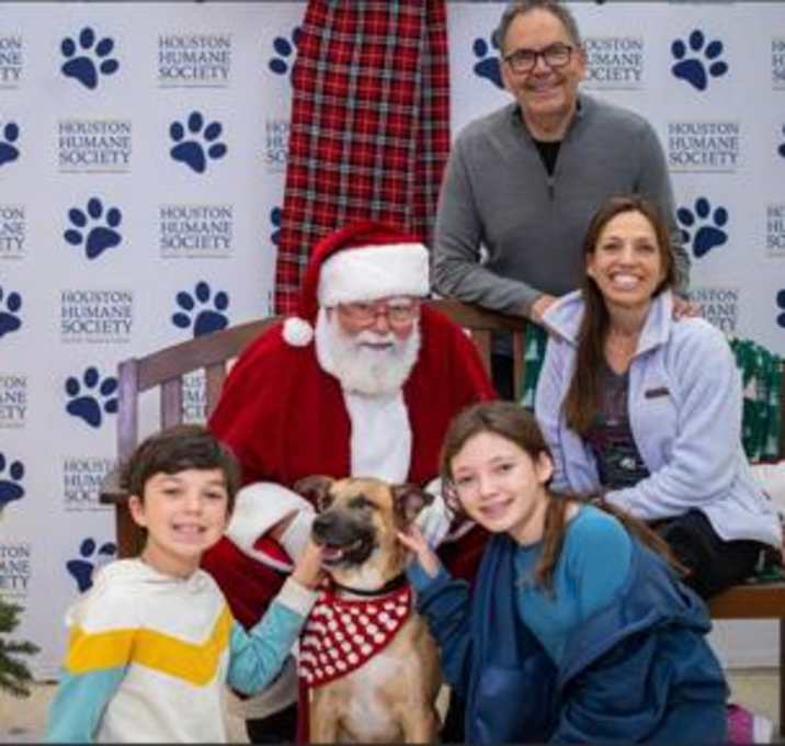 Photo of Lightning McQueen FOSTER