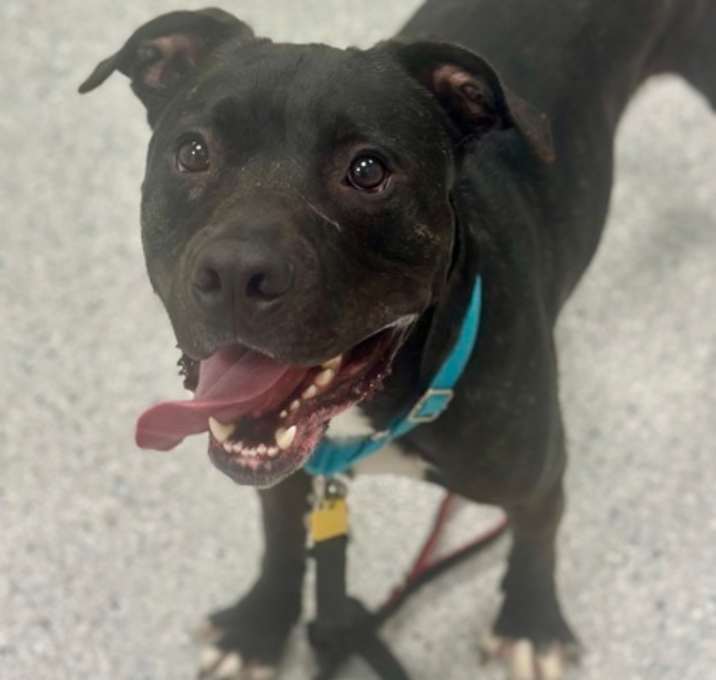 Photo of Peter - In a Foster Home