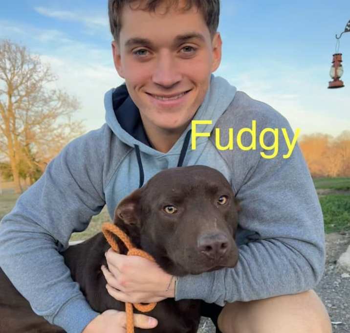 Photo of Fudgy