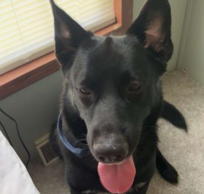 Photo of Dee oh gee (CL)