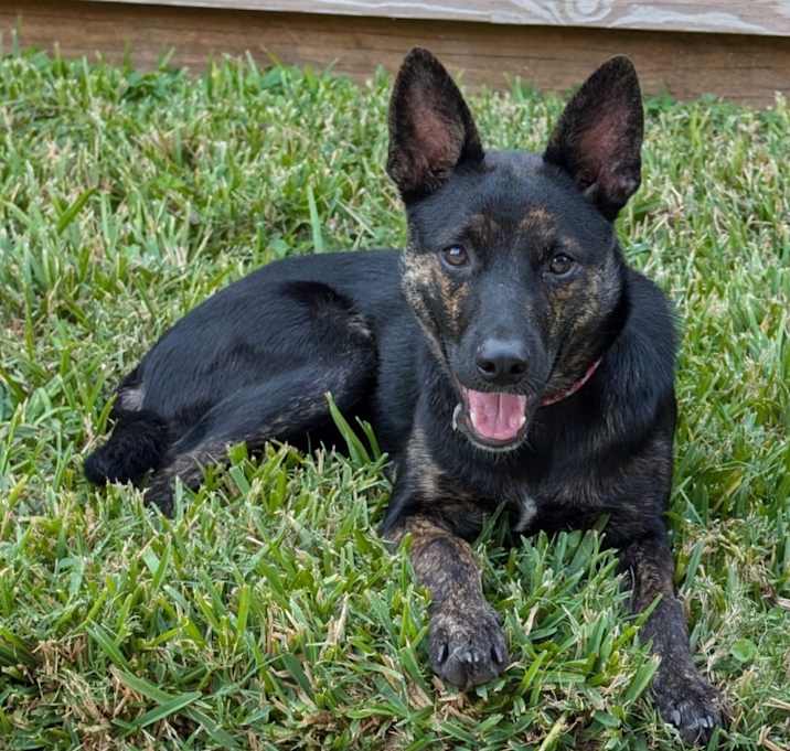 Photo of Joceli Vasquez