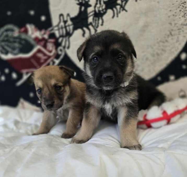 Photo of Agnewe / Daleyza