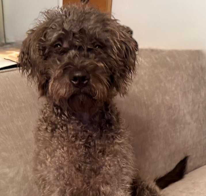 Photo of Frank Gallagher