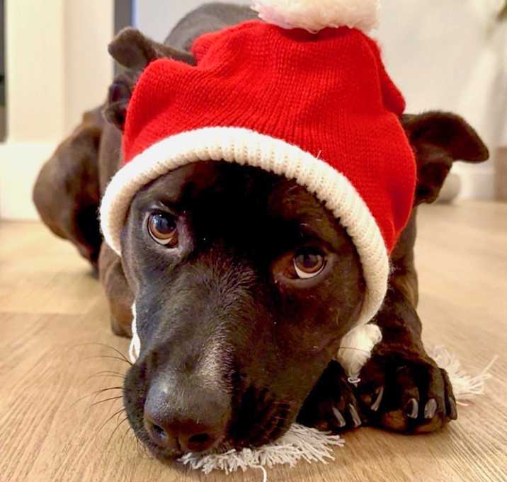 Photo of Sarah Jessica Barker