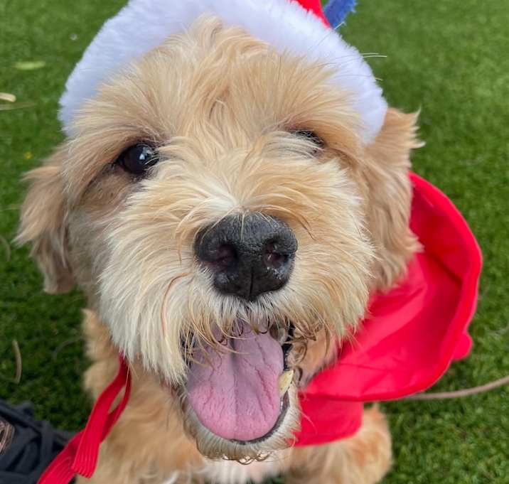 Photo of Conrodo 7479