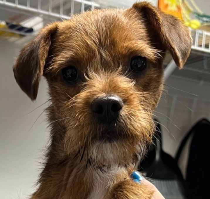 Photo of Sampson B865