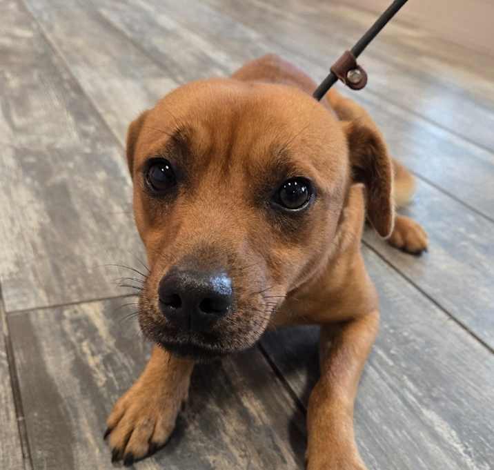 Photo of Zeo Yrly 485