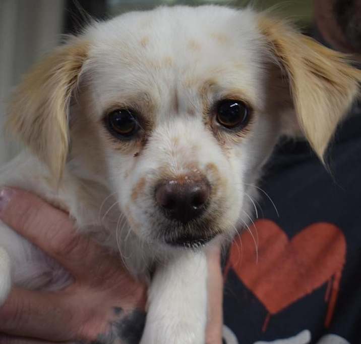 Photo of Gaia (Beth)