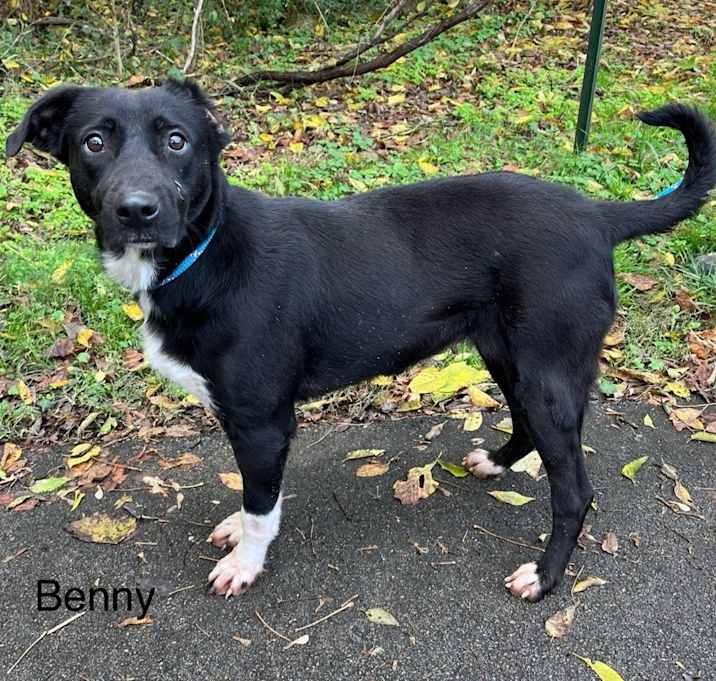 Photo of Benny