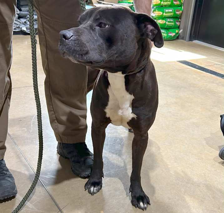 Photo of CLEO/URGENT