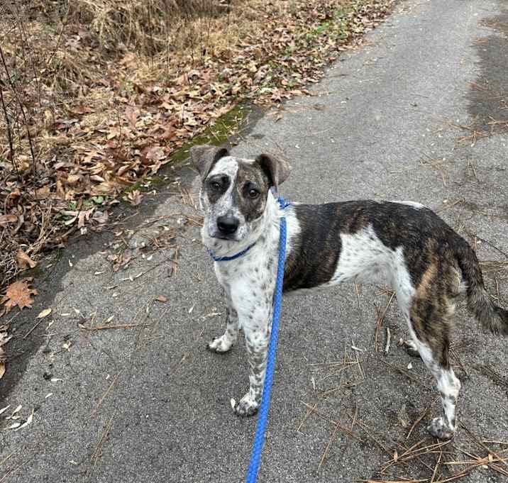 Photo of Little Bit 4