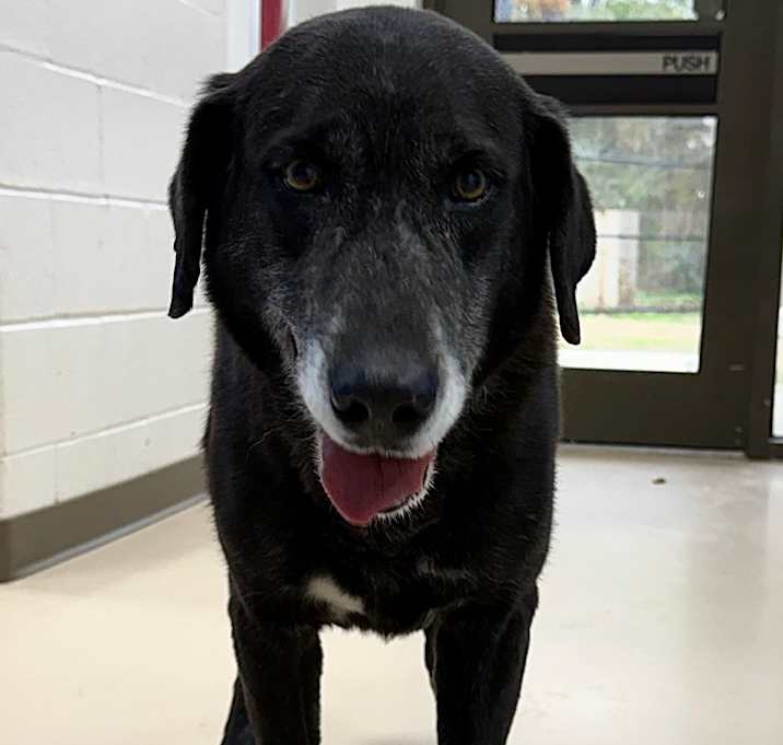 Photo of GARY (Kenwood)