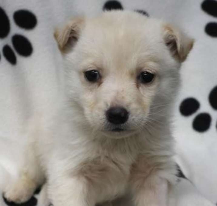 Photo of Lousy Louie