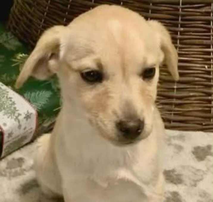 Photo of Chrissy Eve