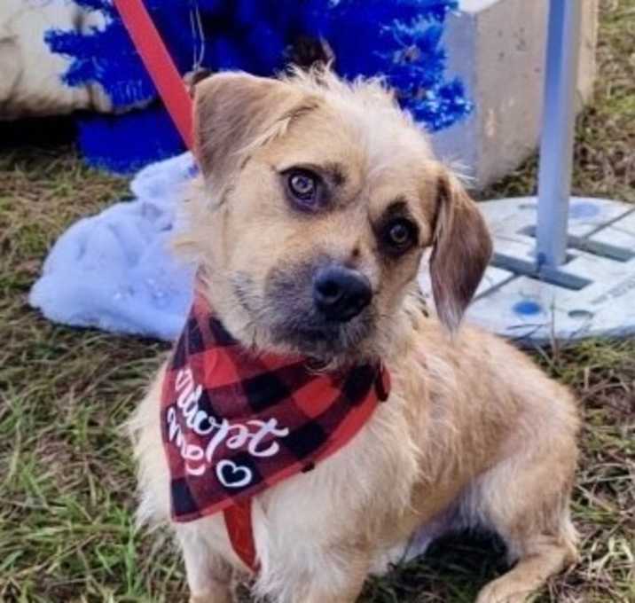 Photo of Sam Handwich