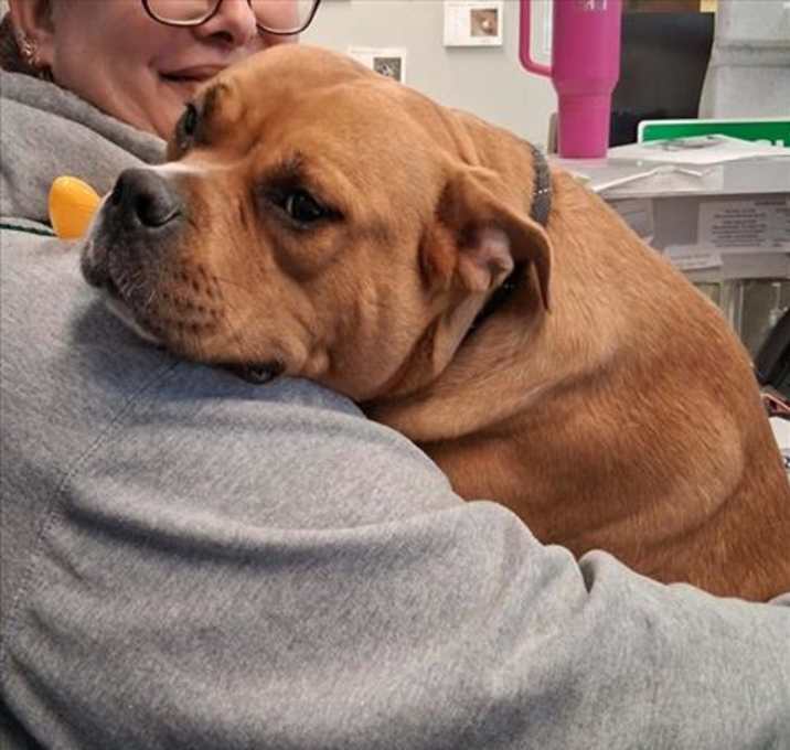 Photo of SWEET TATER