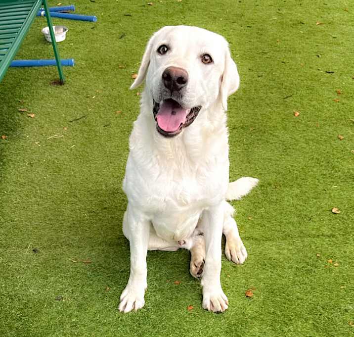 Photo of SNOW 25-12-005