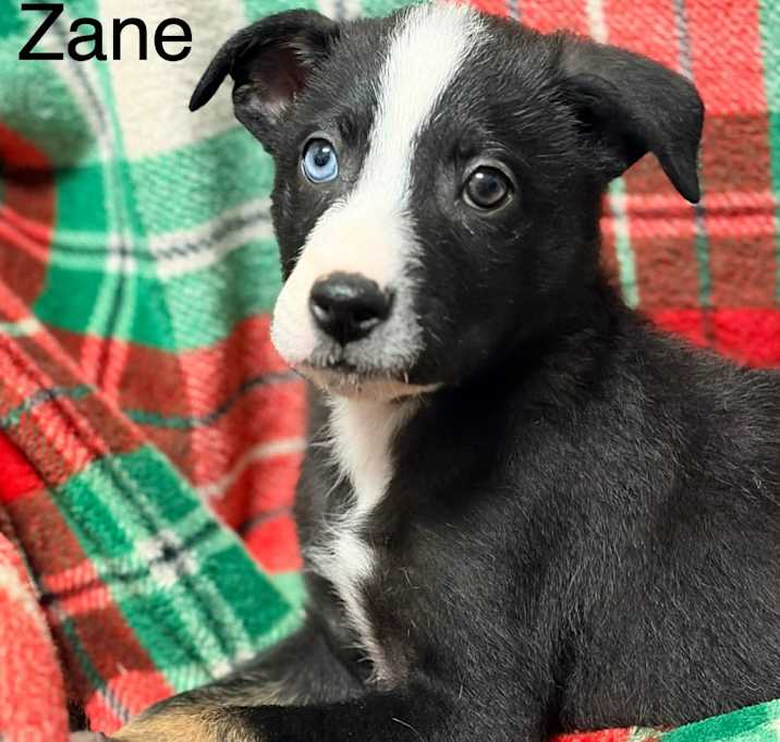 Photo of Zane Zerohour