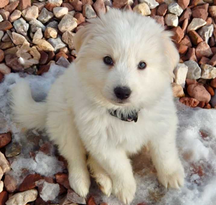 Photo of Jason Bourne