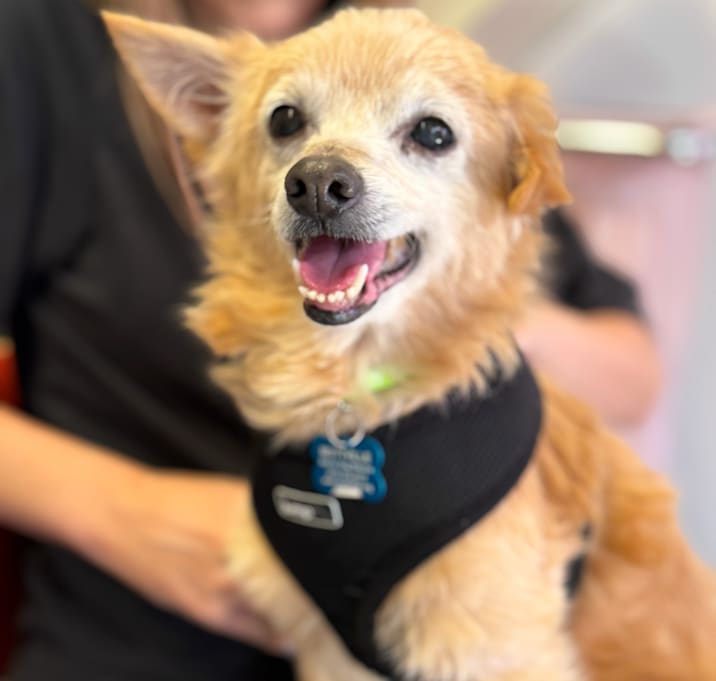 Photo of Squashy Nice 13449