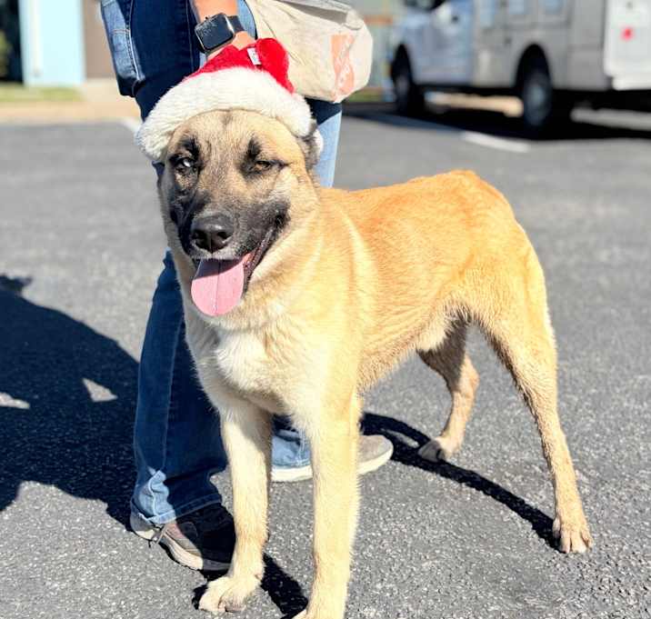 Photo of Uno 25-11-028