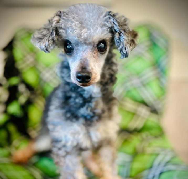 Photo of Delilah Oct 25