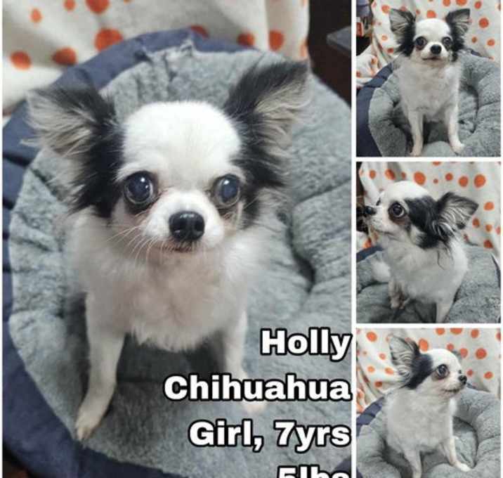 Photo of Holly from Korea